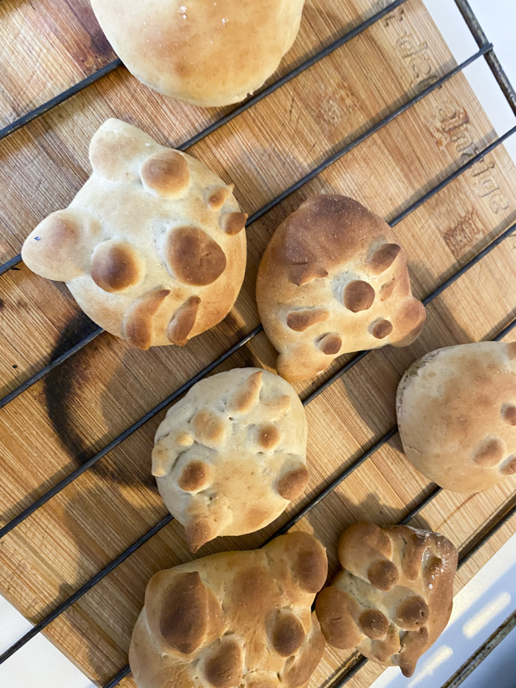 PERLENTAUCHER UND LEUCHTEFISCHE #Workshop
